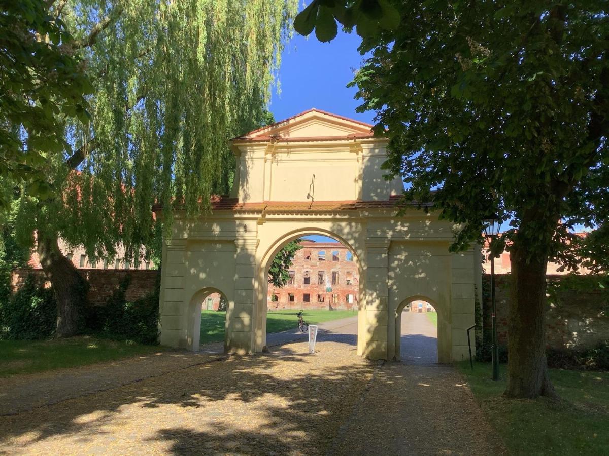 Ferienhaus Am Klosterwald Dargun المظهر الخارجي الصورة