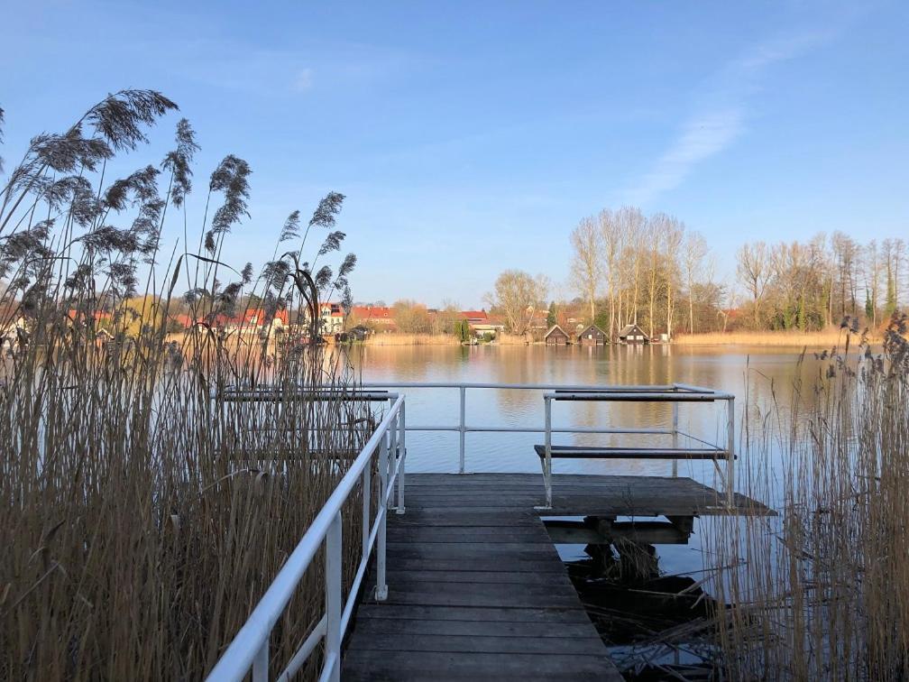 Ferienhaus Am Klosterwald Dargun المظهر الخارجي الصورة