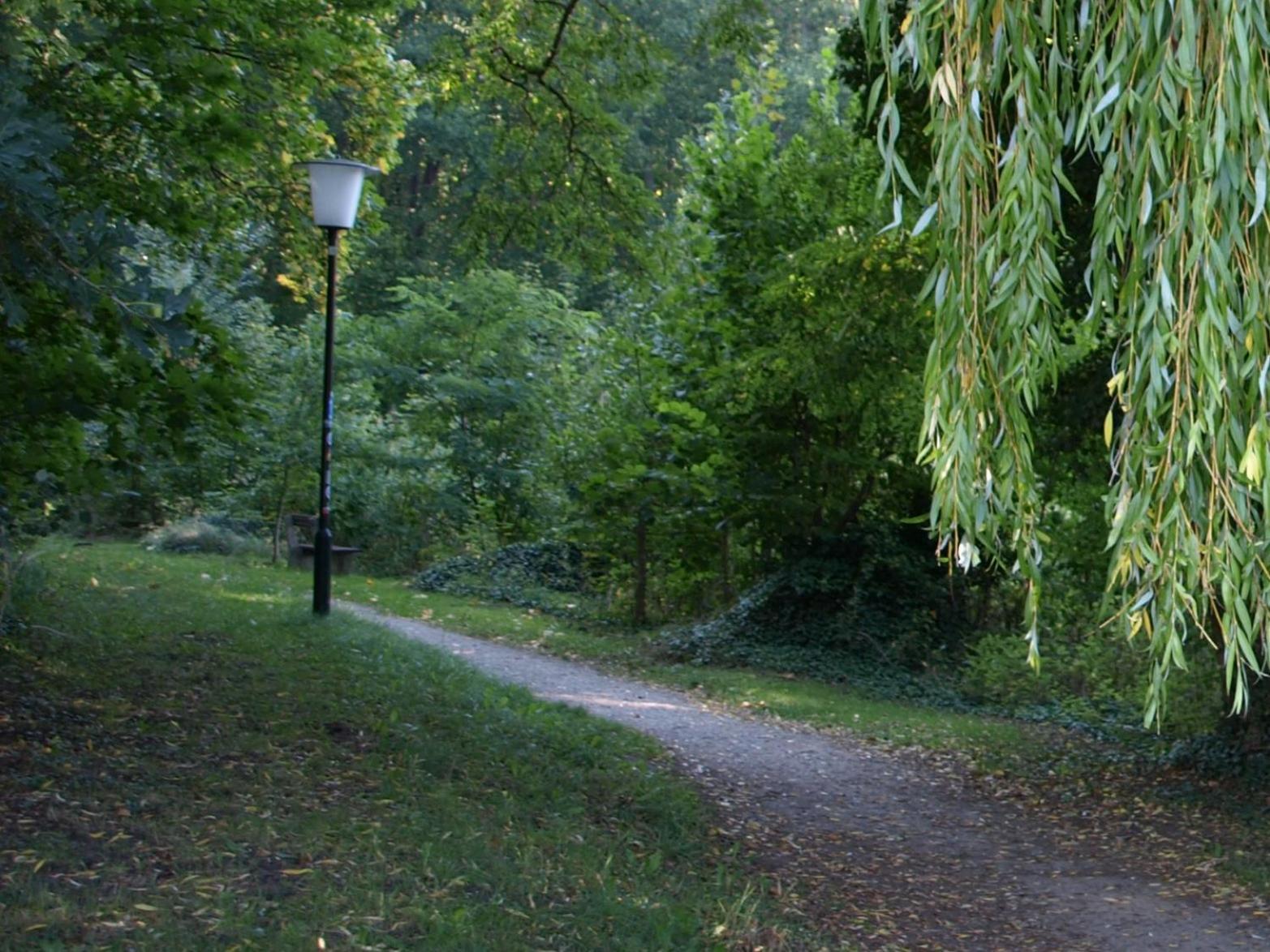 Ferienhaus Am Klosterwald Dargun المظهر الخارجي الصورة